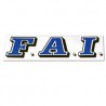 F.A.I. Adesivo mm.100 colore azzurro